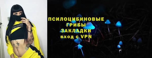 соль ск Аркадак