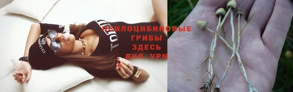 а пвп мука Арсеньев